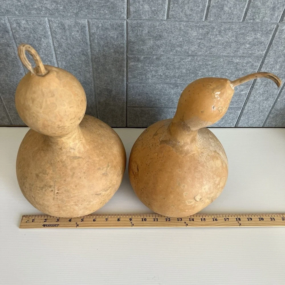 2 Natural Bottle Snowman Gourds Dried Cleaned Fall Decor Crafting
